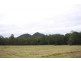 112 Pikes Road, Glass House Mountains QLD 4518