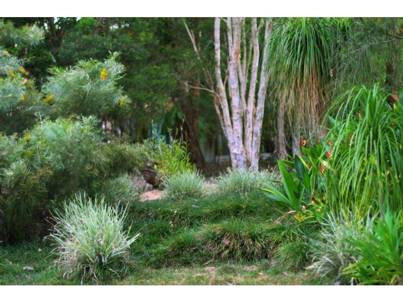 18 Tallawong Close, Beerwah QLD 4519