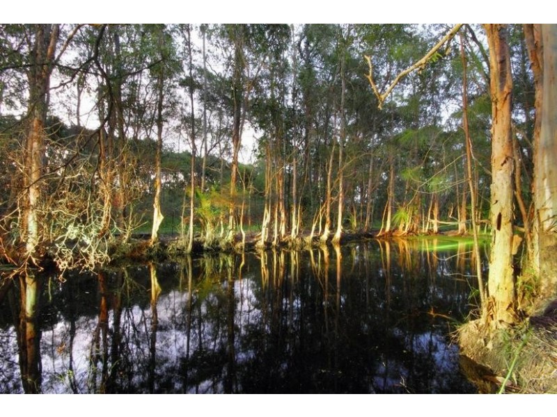 280 Peachester Road, Beerwah QLD 4519