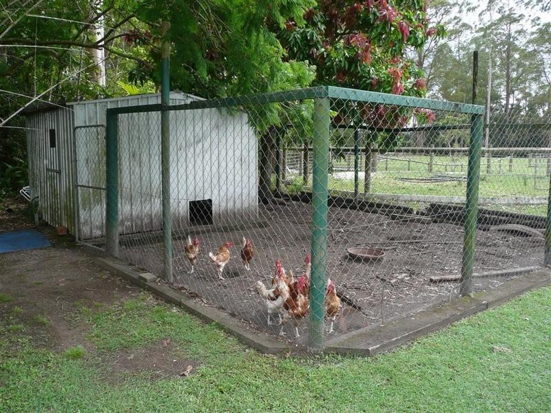 4 Idris Court, Landsborough QLD 4550