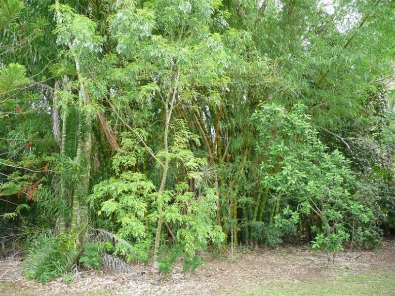 4 Idris Court, Landsborough QLD 4550