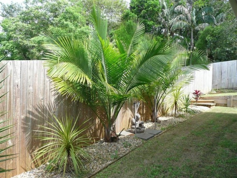 1 Dollarbird Place, Glass House Mountains QLD 4518