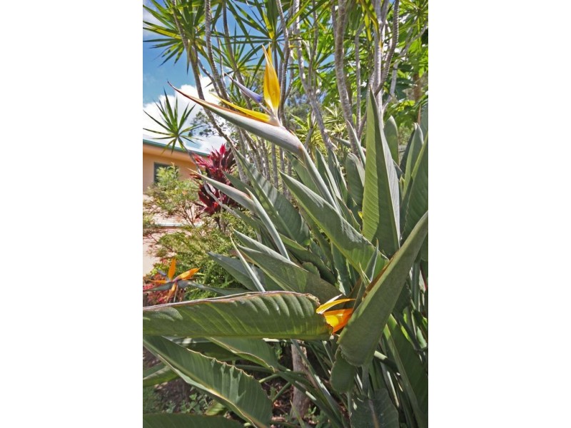 8 Knowles Place, Glass House Mountains QLD 4518