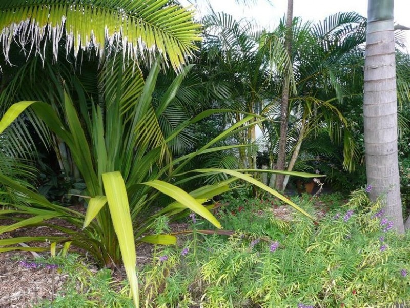 70/466 Steve Irwin Way, Beerburrum QLD 4517