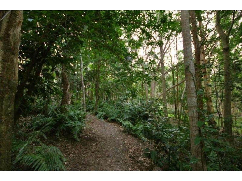 3 Weegen Court, Landsborough QLD 4550