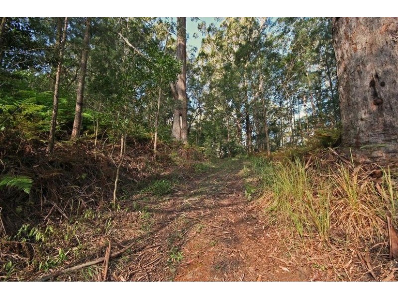 Lot 6, 1870 Maleny-Stanley River Road, Maleny QLD 4552