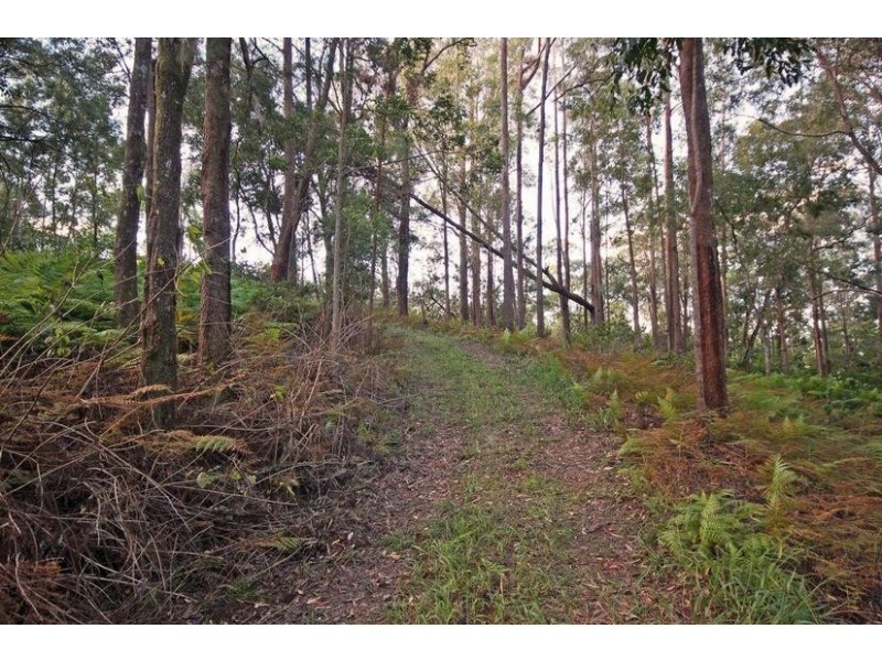 Lot 6, 1870 Maleny-Stanley River Road, Maleny QLD 4552
