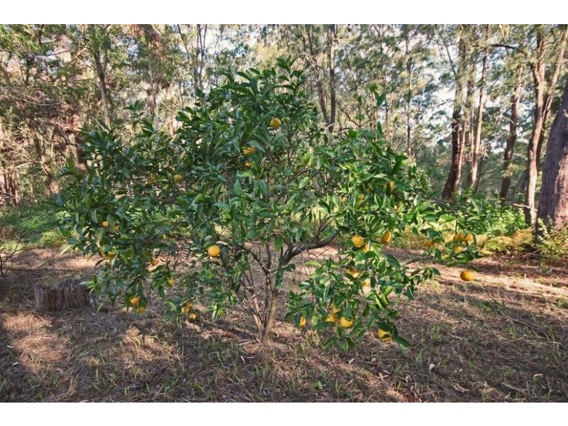 Lot 6, 1870 Maleny-Stanley River Road, Maleny QLD 4552