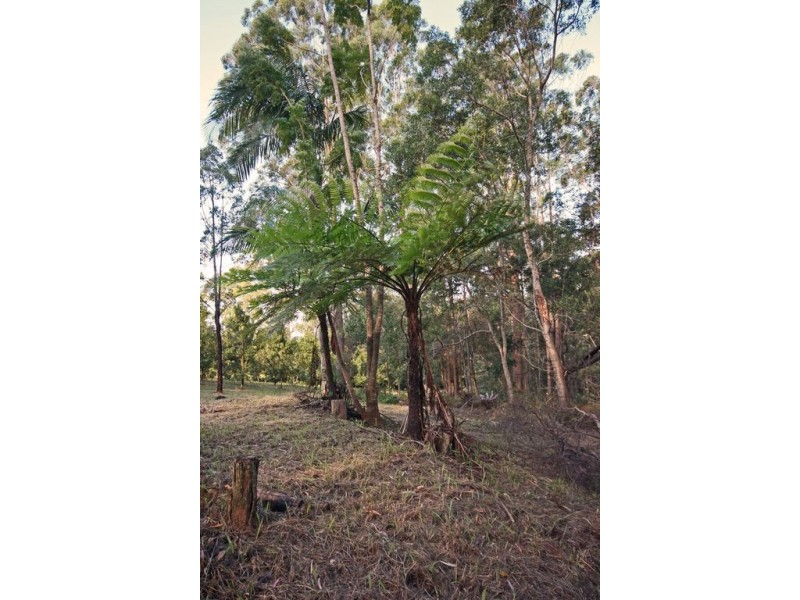 Lot 6, 1870 Maleny-Stanley River Road, Maleny QLD 4552
