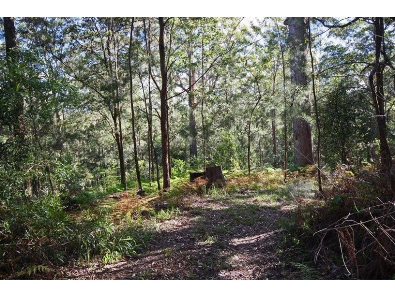 Lot 6, 1870 Maleny-Stanley River Road, Maleny QLD 4552