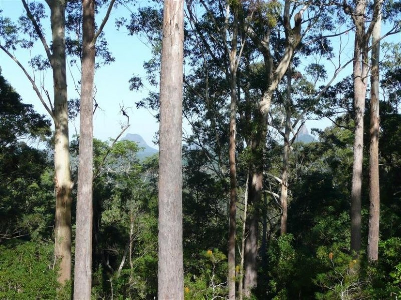 42 Julian Street, Peachester QLD 4519