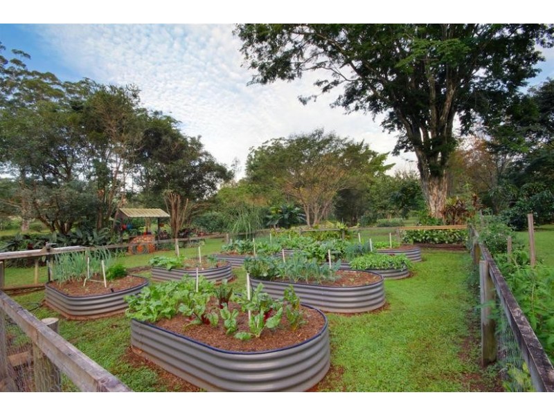 17 Fig Tree Drive, Beerwah QLD 4519