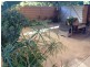 16 Cribb Street, Landsborough QLD 4550