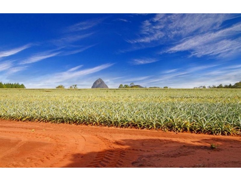 36 Mountain Vista Drive, Glass House Mountains QLD 4518