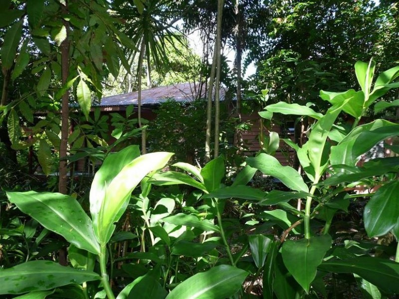 19 Old Landsborough Road, Beerwah QLD 4519