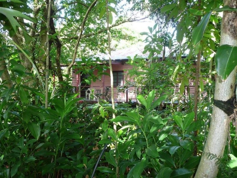 19 Old Landsborough Road, Beerwah QLD 4519