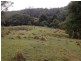 1179 Kilcoy-Beerwah Road, Cedarton QLD 4514