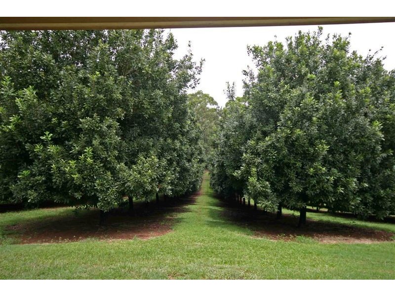 84 Reserve Lane, Peachester QLD 4519