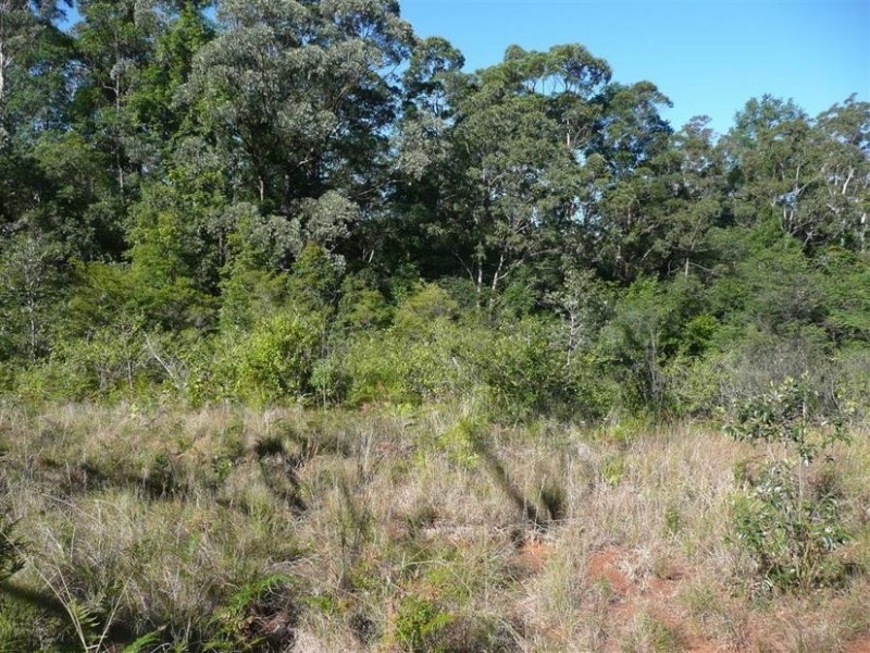 Lot 570,  Gowens Road, Peachester QLD 4519