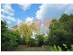 103 Coonowrin Road, Glass House Mountains QLD 4518