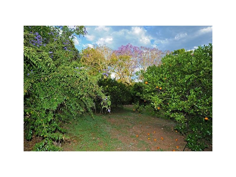 103 Coonowrin Road, Glass House Mountains QLD 4518