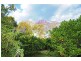 103 Coonowrin Road, Glass House Mountains QLD 4518