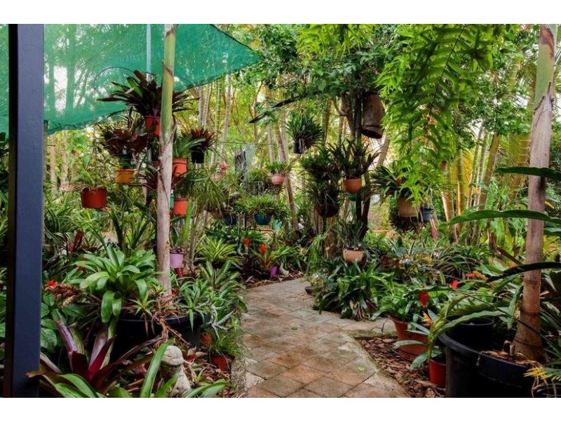53 Bowen Road, Glass House Mountains QLD 4518