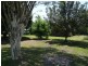 6 Alfs Pinch Road, Beerwah QLD 4519