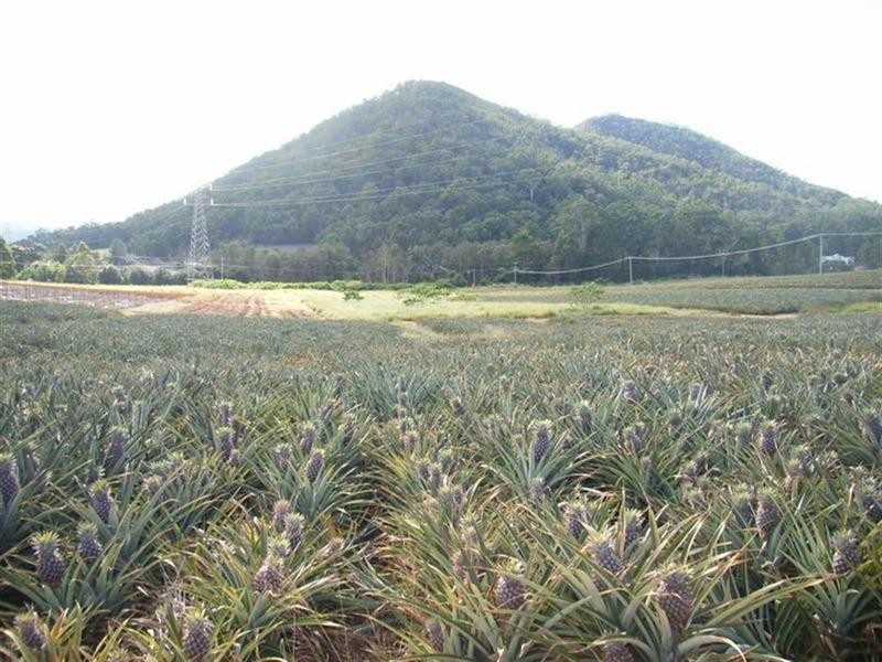 26 Lindeman Road, Beerwah QLD 4519