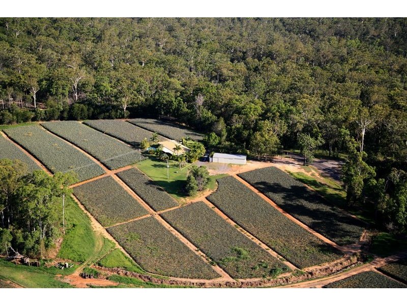 276 Barrs Road, Glass House Mountains QLD 4518