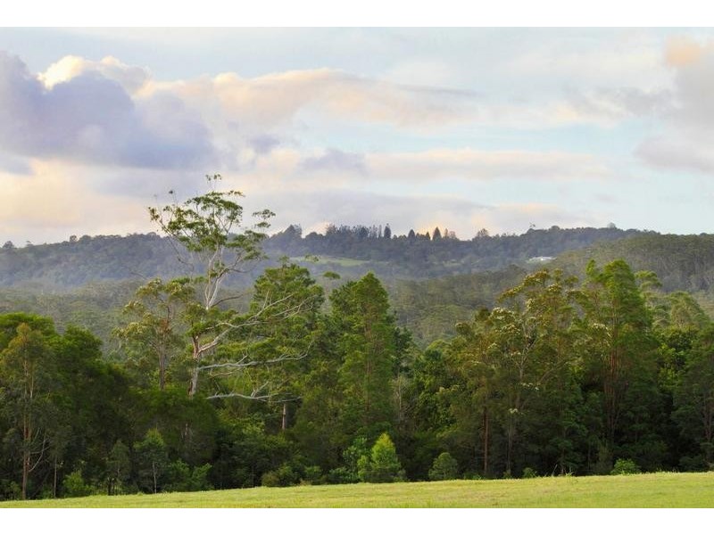 83 Morrisons Road, Peachester QLD 4519