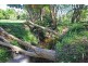 12 Greber Road, Beerwah QLD 4519