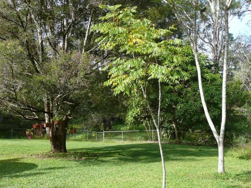 108 Lindeman Road, Beerwah QLD 4519