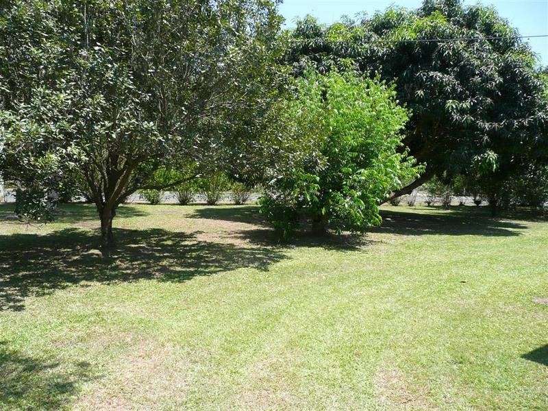 6 Alfs Pinch Road, Beerwah QLD 4519