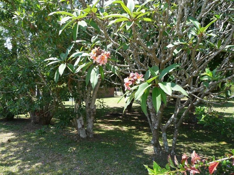 6 Alfs Pinch Road, Beerwah QLD 4519