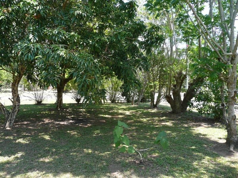 6 Alfs Pinch Road, Beerwah QLD 4519