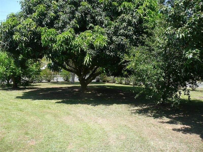 6 Alfs Pinch Road, Beerwah QLD 4519