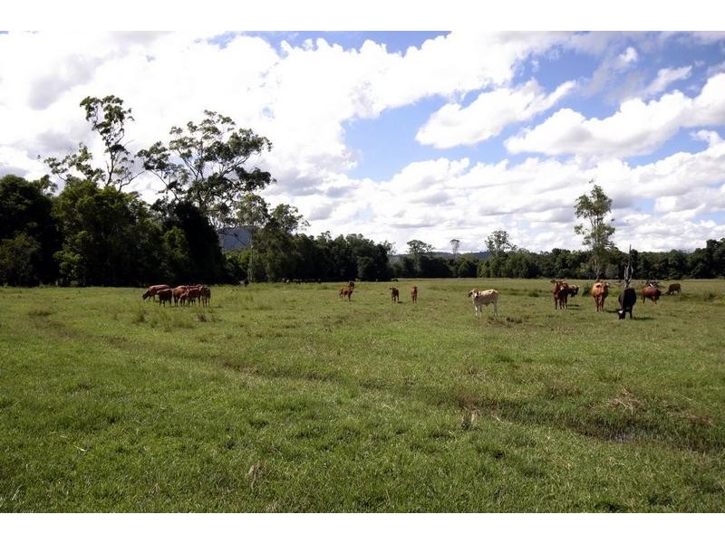 43 Phillips Road, Cedarton QLD 4514