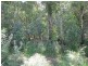 Lot 17 Lachlan Crescent, Beerwah QLD 4519