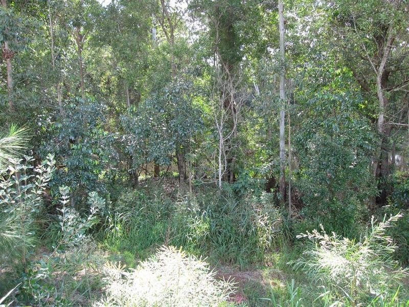 Lot 17 Lachlan Crescent, Beerwah QLD 4519