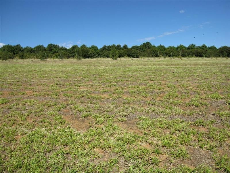 Lot 56 Lachlan Crescent, Beerwah QLD 4519