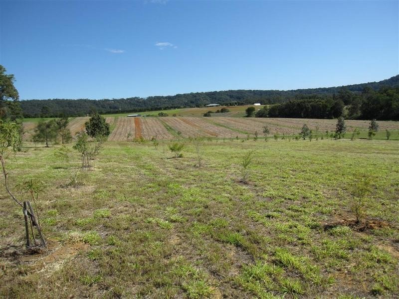 Lot 56 Lachlan Crescent, Beerwah QLD 4519