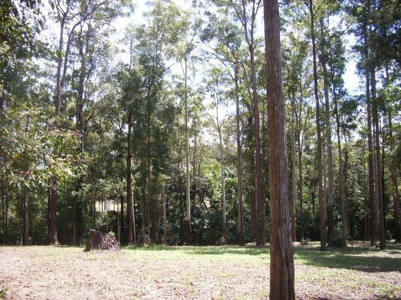 Lot 2 Quandong Close, Peachester QLD 4519