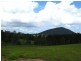 Beerwah QLD 4519