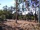 Glass House Mountains QLD 4518