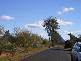 Glass House Mountains QLD 4518