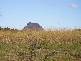 Glass House Mountains QLD 4518