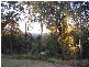 Peachester QLD 4519