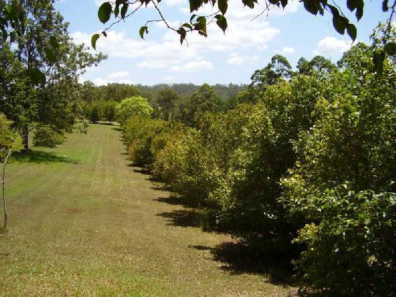 Glass House Mountains QLD 4518