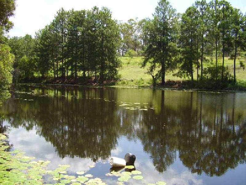 Glass House Mountains QLD 4518